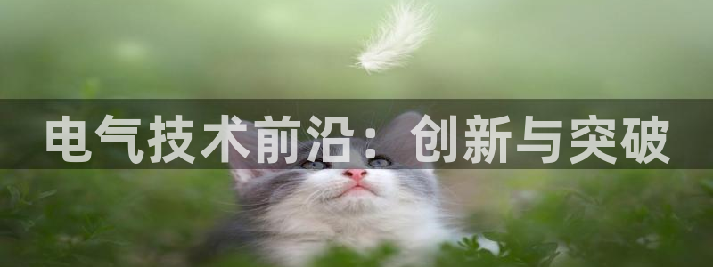 凯发k8国际 不能提款了
