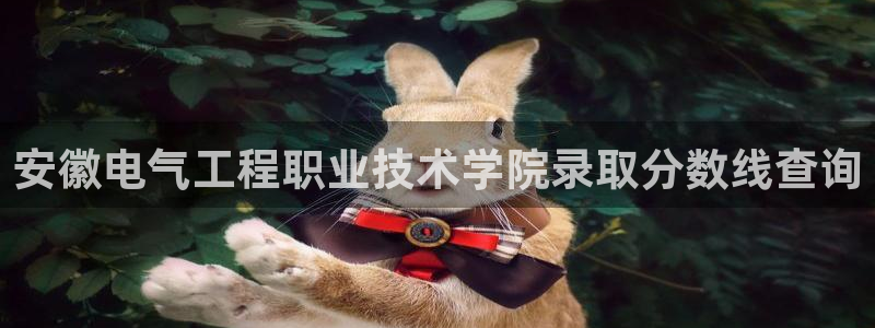 凯发国际app下载