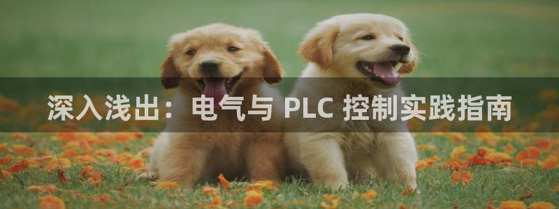 凯发官网登录免费下载