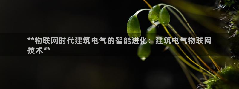 凯发娱乐k8国际
