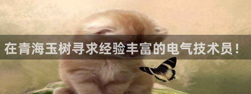 凯发k8旗舰店