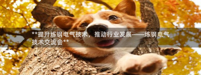 凯发国际网站官网