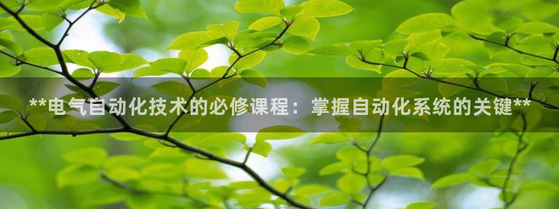 凯发网址直营
