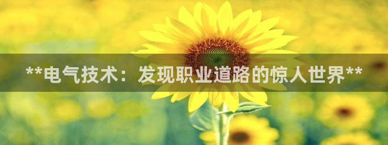 凯发k8娱乐平台网址