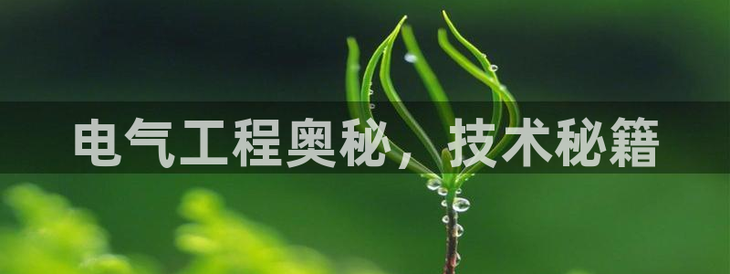 凯发k8娱乐是国内平台?