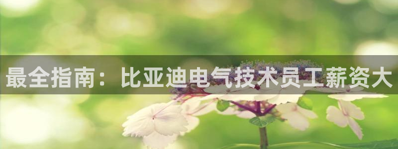 凯发k8娱乐是什么平台