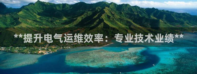 凯发k8娱乐官网旗舰厅：**提升电气运维效率：专业