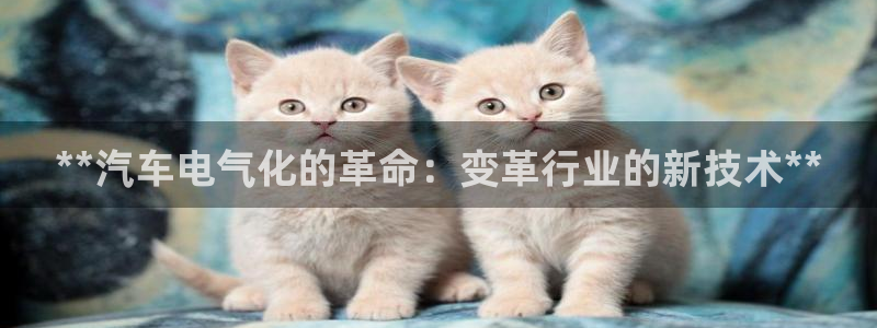 凯发k8app下载：**汽车电气化的革命：变革行业