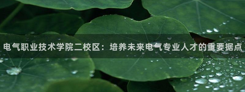 凯发国际怎么赚钱：电气职业技术学院二校区：培养未来