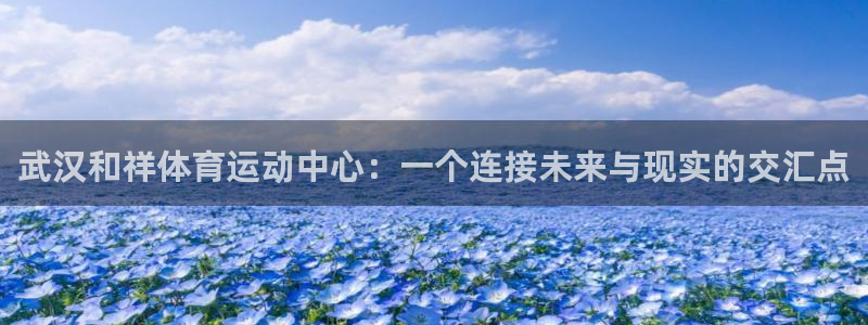xc体育：武汉和祥体育运动中心：一个连接未来与现实的交汇点